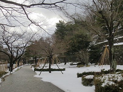 2017-01-17 14.13.32 IMG_8724 Anne - outside the castle walls.jpeg: 4608x3456, 6270k (2017 Jan 26 18:35)