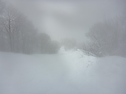 2017-01-17 16 Madarao 11.21.45 P1010336 Simon - on Primary Line.jpeg: 4608x3456, 5186k (2017 Jan 29 10:22)