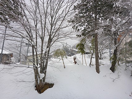 View out our Ryokan Jonnobi window
Photographer;&nbsp;Simon
2017-01-19&nbsp;09.07.08;&nbsp;Metadata time: '2017 Jan 19 09:07'
Original size:&nbsp;4,608 x 3,456; 5,963 kB
Filename: 2017-01-19 09.07.08 P1010435 Simon - view out our Ryokan Jonnobi window.jpeg
