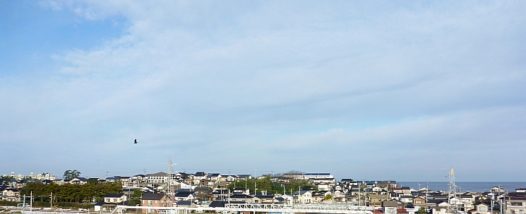 2017-01-20 08.47.14 P1010503 Simon - view from train_cr.jpg: 4603x1878, 3044k (2017 Jan 29 10:22)