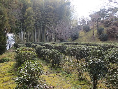 Kosaiho tea garden
Photographer;&nbsp;Anne
2017-01-22&nbsp;11.10.10;&nbsp;Metadata time: '2017 Jan 22 11:10'
Original size:&nbsp;4,608 x 3,456; 7,481 kB
Filename: 2017-01-22 11.10.10 IMG_9212 Anne - Kosaiho tea garden.jpeg