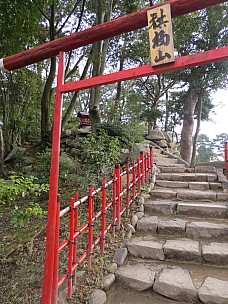 2017-01-22 11.24.04 IMG_9228 Anne - Mt Kifuku Torii.jpeg: 3456x4608, 8343k (2017 Jan 26 18:37)