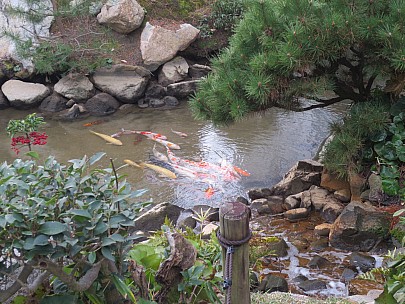 2017-01-22 11.29.09 IMG_9232 Anne - carp.jpeg: 4608x3456, 7976k (2017 Jan 26 18:37)