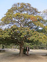 Hiroshima