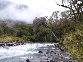 Paringa to Tunnel Creek Hut