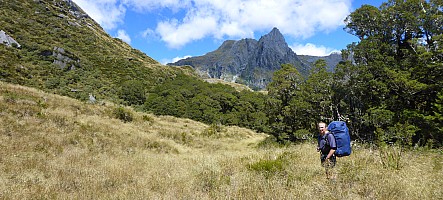 Tunnel Creek Hut to Paringa Rock Biv