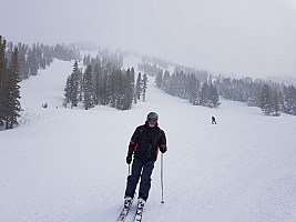 Mt Rose