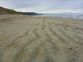 Mason Bay to Doughboy Bay