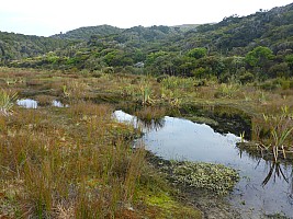 Doughboy Bay to Rakeahua Hut