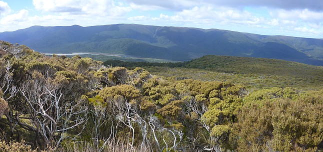 View through scrub back to Rakeahua valley
Photographer;&nbsp;Simon
2019-11-12&nbsp;10.38.20;&nbsp;Metadata time: '2019 Nov 12 10:38'
Original size:&nbsp;6,577 x 3,094; 22,013 kB;&nbsp;stitch
Filename: 2019-11-12 10.38.20 Panorama Simon - view through scrub back to Rakeahua valley_stitch.jpg