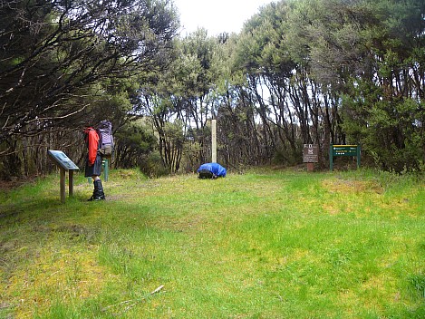 2019-11-14 12.39.19 P1000770 Jim - Brian at Freshwater landing.jpeg: 4320x3240, 4858k (2019 Nov 14 12:39)