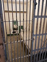 San Francisco: Alcatraz, Muir Woods, Sausolito