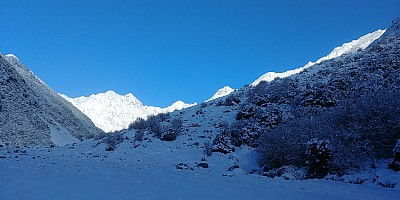 Mistake Flats Forbes River and Murphys Stream