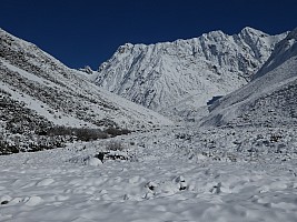 Mistake Flats Forbes River and Murphys Stream
