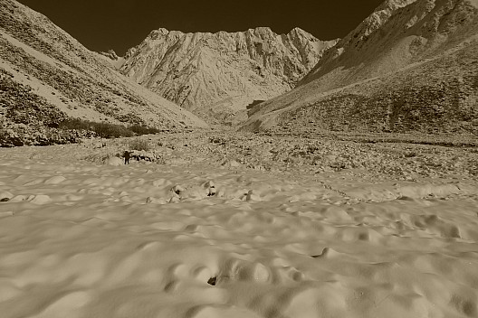 View up the Forbes (Sepia)
Photographer;&nbsp;Brian
2020-09-02&nbsp;10.30.48;&nbsp;Metadata time: '2020 Sept 02 10:30'
Original size:&nbsp;3,264 x 2,176; 3,479 kB
Filename: 2020-09-02 10.30.48 P1020307 Brian - view up the Forbes (Sepia).jpeg
