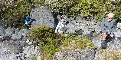 Minchin Biv and Saddle