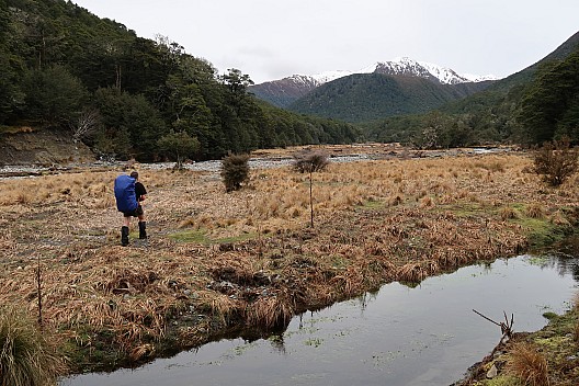 Hope Kiwi Lodge to Three Mile Stream Hut