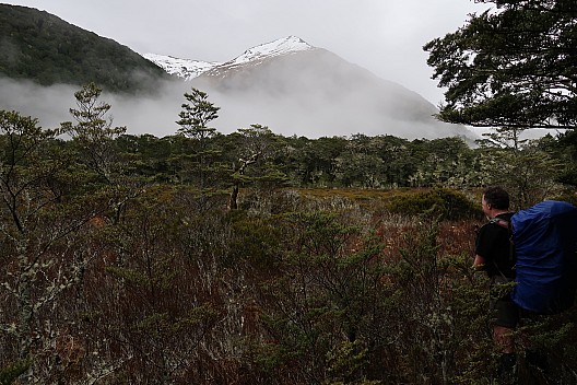 Three Mile Stream Hut to Hurunui Hut