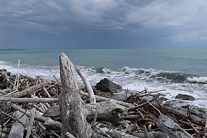 Mananui Bush, Mahinapua, Wanganui River, Oneone