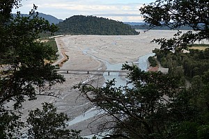 Mananui Bush, Mahinapua, Wanganui River, Oneone