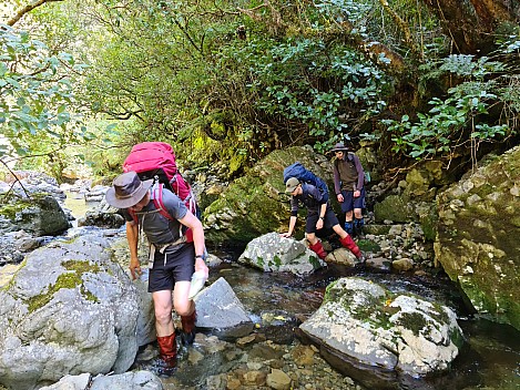 In College Creek
Photographer;&nbsp;Simon
2022-10-23&nbsp;14.43.44;&nbsp;Metadata time: '2022 Oct 23 14:43'
Original size:&nbsp;9,248 x 6,936; 17,836 kB
Filename: 2022-10-23 14.43.44 S20 Simon - In College Creek.jpeg