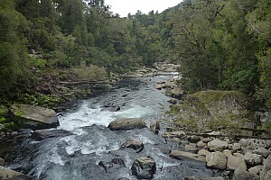 Moeraki River, Middle Head Hut to Blue River Hut