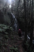 Blue River Hut to Māori Saddle Hut on the Haast Paringa Cattle track