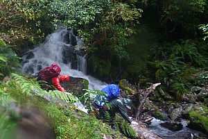 Blue River Hut to Māori Saddle Hut on the Haast Paringa Cattle track