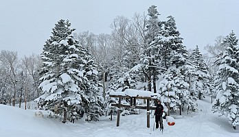 At Prince Hotel East Wing skiing Central Shiga Kōgen
Adrian at the top of Central Course  29
Photographer;&nbsp;Simon
2024-03-04&nbsp;11.57.23;&nbsp;Metadata time: '2024 Mar 04 11:57'
Original size:&nbsp;15,611 x 8,970; 25,014 kB;&nbsp;stitch
Filename: 2024-03-04 11.57.23 S20+ Simon - Adrian at the top of Central Course 29_stitch.jpg