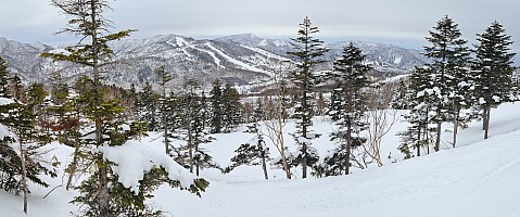Ski Okushiga Kōgen and Yakebitaiyama
View from track between A6 and A1 courses
Photographer;&nbsp;Adrian
2024-03-05&nbsp;09.59.30;&nbsp;Metadata time: '2024 Mar 05 09:59'
Original size:&nbsp;16,655 x 6,960; 22,529 kB;&nbsp;stitch
Filename: 2024-03-05 09.59.30 S20+ Adrian - view from track between A6 and A1 courses_stitch.jpg