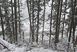Prince Hotel East Wing to Hotel Alpenburg; visit to the Jigokudani Snow Monkeys
View down to Yokoyu river from Snow Monkey path
Photographer;&nbsp;Adrian
2024-03-06&nbsp;12.22.24;&nbsp;Metadata time: '2024 Mar 06 12:22'
Original size:&nbsp;9,974 x 6,701; 11,690 kB;&nbsp;stitch
Filename: 2024-03-06 12.22.24 S20+ Adrian - view down to Yokoyu river from Snow Monkey path_stitch.jpg