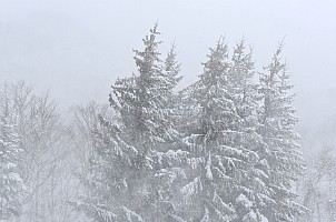 Travelling Shiga Kōgen to Ōsaka through Nagano and Nagoya
View Of Blizzard From Our Window
Photographer;&nbsp;Simon
2024-03-13&nbsp;08.39.10;&nbsp;Metadata time: '2024 Mar 13 08:39'
Original size:&nbsp;9,248 x 6,126; 9,448 kB;&nbsp;cr
Filename: 2024-03-13 08.39.10 S20+ Simon - view of blizzard from our window_cr.jpg