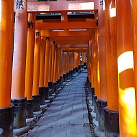 Shinkansen Ōsaka, Tōkyō, to Narita
Senbon Torii path
Photographer;&nbsp;Jim
2024-03-16&nbsp;16.06.27;&nbsp;Metadata time: '2024 Mar 16 16:06'
Original size:&nbsp;2,992 x 2,992; 2,142 kB
Filename: 2024-03-16 16.06.27 S21FE+ Jim - Senbon Torii path.jpeg