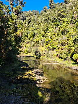 View down the Waitōtara from the swing bridge
Photographer;&nbsp;Simon
2025-05-06&nbsp;11.28.04;&nbsp;Metadata time: '2025 May 06 11:28'
Original size:&nbsp;6,928 x 9,248; 30,221 kB
Filename: 2025-05-06 11.28.04 S20+ Simon - view down the Waitōtara from the swing bridge.jpeg