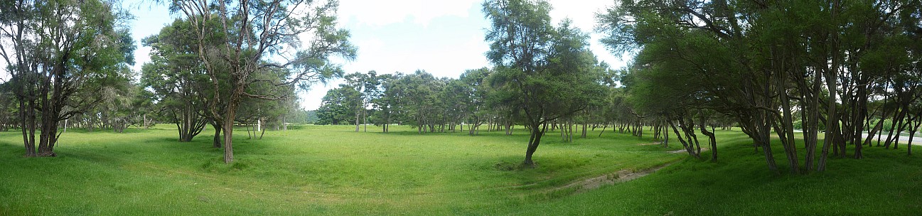 Camp Area
Photo: Simon
2014-11-29 11.06.00; '2014 Nov 29 11:06'
Original size: 11,949 x 2,800; 6,017 kB; stitch
2014-11-29 11.06.00 Panorama Simon - camp area_stitch.jpg