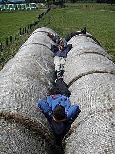PB 297726 Siân - 
2014-11-29 14.46.30; '2014 Nov 29 14:46'
Original size: 2,304 x 3,072; 3,090 kB
2014-11-29 14.46.30 PB297726 Siân - .jpeg