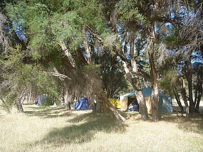 Campsite
Photo: Simon
2015-03-07 10.12.45; '2015 Mar 07 10:12'
Original size: 4,000 x 3,000; 7,349 kB
2015-03-07 10.12.45 P1010811 Simon - campsite.jpeg