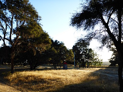 Back of the Morison Bush Campsite
Photo: Simon
2016-03-05 14.54.24; '2016 Mar 05 14:54'
Original size: 4,608 x 3,456; 6,614 kB
2016-03-05 14.54.24 P1000872 Simon - Back of the Morison Bush Campsite.jpeg