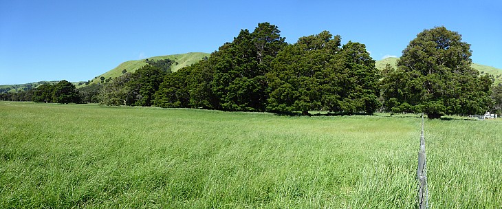 Fenceline
Photo: Simon
2016-11-26 16.11.04; '2016 Nov 26 16:11'
Original size: 7,347 x 3,060; 26,826 kB; stitch
2016-11-26 16.11.04 Panorama Simon - Fenceline_stitch.jpg