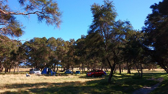 Morison Bush campsite
Photo: Simon
2017-03-05 10.54.08; '2017 Mar 05 10:54'
Original size: 4,160 x 2,340; 2,430 kB
2017-03-05 10.54.08 IMG_20170305_105408302 Simon - Morison Bush campsite.jpeg