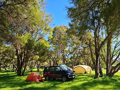 Campsite
Photo: Simon
2023-11-12 09.53.47; '2023 Nov 12 09:53'
Original size: 9,248 x 6,936; 34,105 kB
2023-11-12 09.53.47 S20+ Simon - Campsite.jpeg