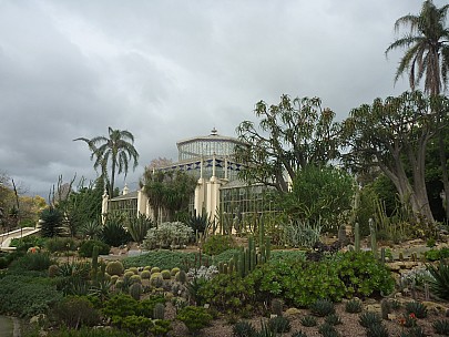 2014-07-11 13.56.05 P1000789 Simon - Cacti garden and Botanic Gardens greenhouse.jpeg: 4000x3000, 6703k (2014 Aug 09 16:49)
