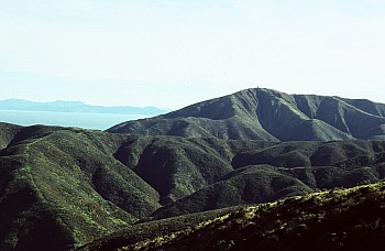 Outlook Hill, 537 m, Terawhiti Station{$:PhotosTitle
14750003
; '2024 May 20 18:15'
Original size: 1,570 x 1,024; 928 kB}