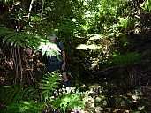 2010-01-01 11.52.28 P1000576 Simon.jpeg: 4000x3000, 7120k (2010 Jan 01 11:52)