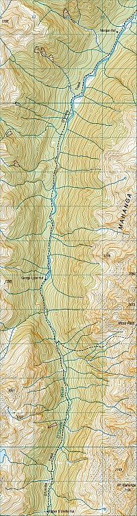 Upper D'Urville Biv to Morgan Hut via George Lyon (Ella) Hut