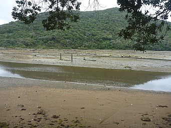 Blairs landing
Photo:&nbsp;Simon
2012-12-30&nbsp;15.42.49;&nbsp;'2012 Dec 30 15:42'
Original size:&nbsp;4,000 x 3,000; 6,827 kB
2012-12-30 15.42.49 P1040511 Simon - Blairs landing.jpeg