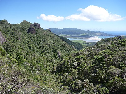 2012-12-29 11.29.43 P1040482 Simon - Palmers Track view to Whangapoua.jpeg: 4000x3000, 6959k (2012 Dec 29 11:29)