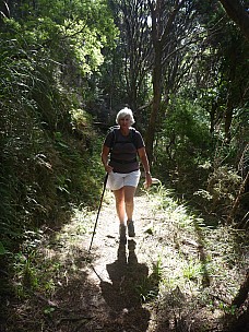 2012-12-31 16.25.23 P1040557 Simon - Anne on Harataonga track.jpeg: 3000x4000, 5722k (2012 Dec 31 16:25)