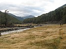 Doubtful and Nina rivers
Doubtful valley
Photo: Brian
2013-04-25 09.28.11; '2013 Apr 25 09:28'
Original size: 3,072 x 2,304; 1,102 kB
2013-04-25 09.28.11 IMG_2900 Brian - Doubtful valley.jpeg