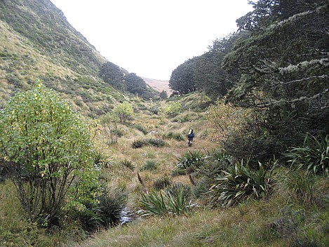 Leaving bush in Devilskin stream
Photo: Brian
2013-04-25 14.01.06; '2013 Apr 25 14:01'
Original size: 3,072 x 2,304; 1,372 kB